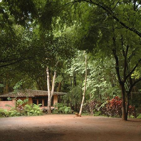 Momchailai Forest Retreat Kanchanaburi Exteriér fotografie